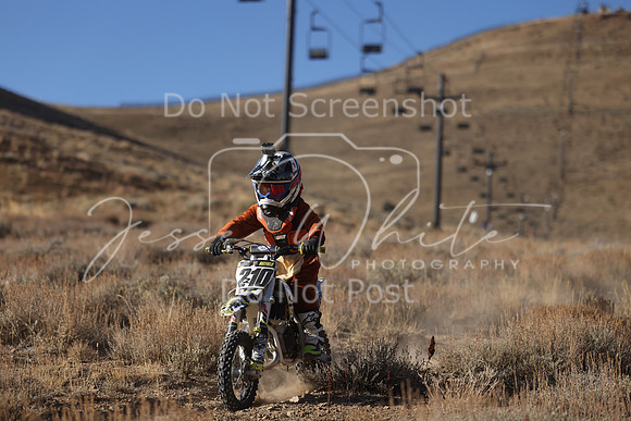 IMG_4002-210z