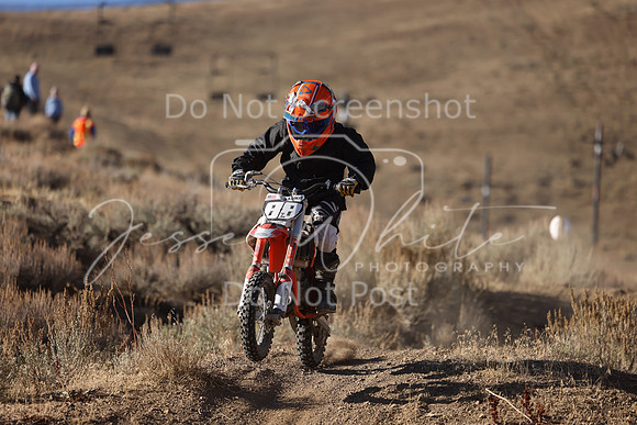 IMG_4110-88z