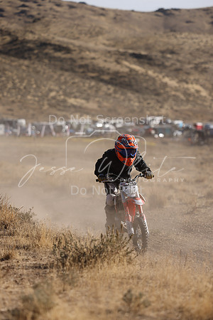 IMG_4200-88z