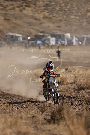 IMG_4213-210z