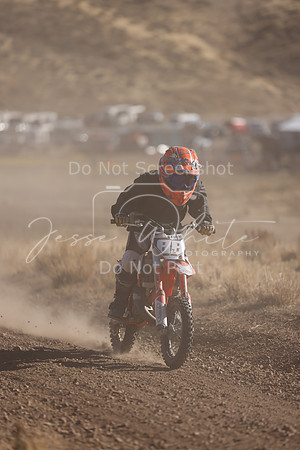IMG_4230-88z