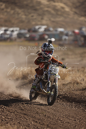 IMG_4237-210z