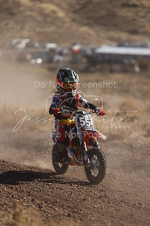 IMG_4240-55z