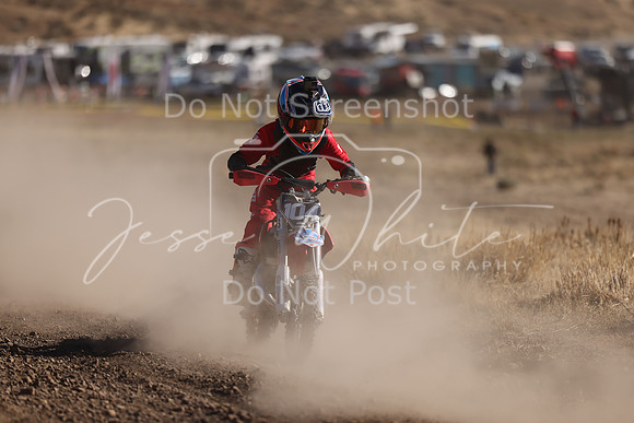 IMG_4250-104z