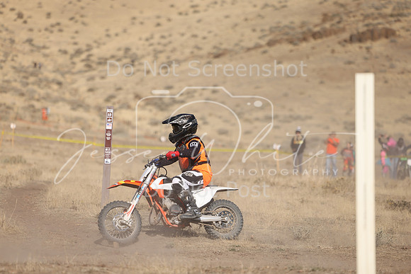 IMG_4299-