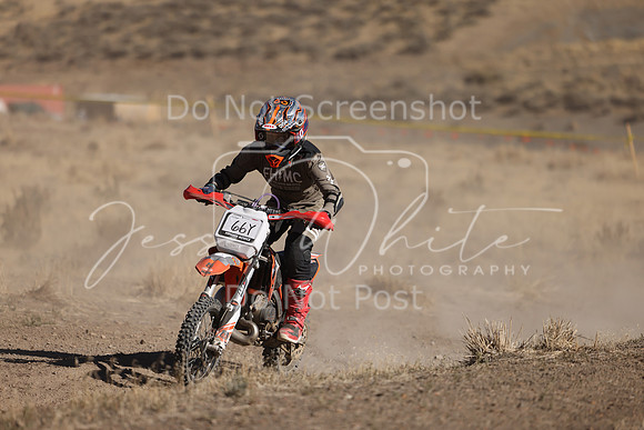 IMG_4334-66y