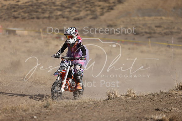 IMG_4337-888y