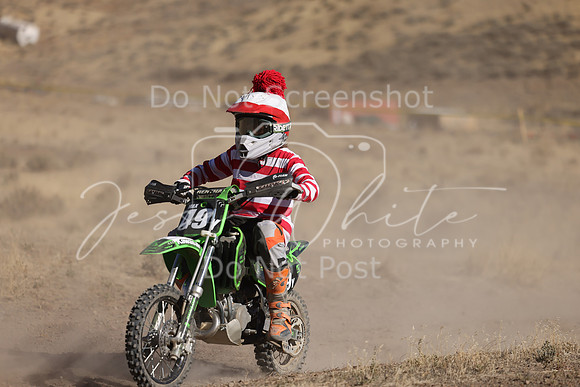 IMG_4341-49y