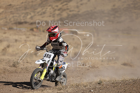 IMG_4351-555