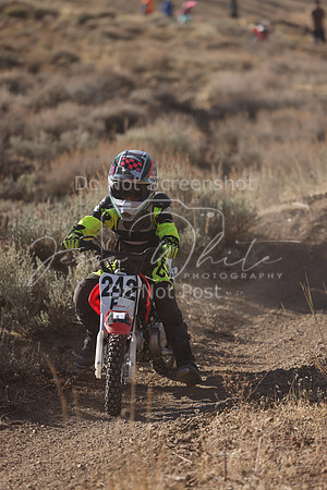 IMG_4446-242f