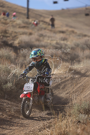 IMG_4447-385f