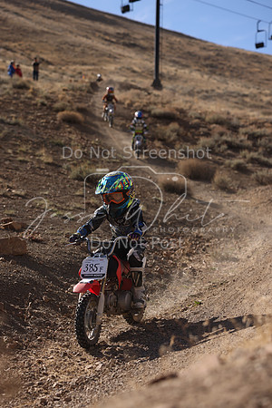 IMG_4591-385f
