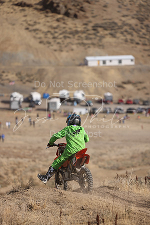 IMG_4766-56y
