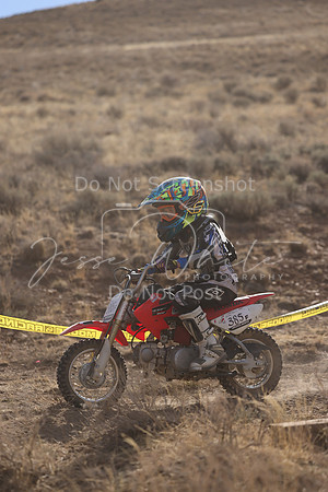 IMG_4774-385f