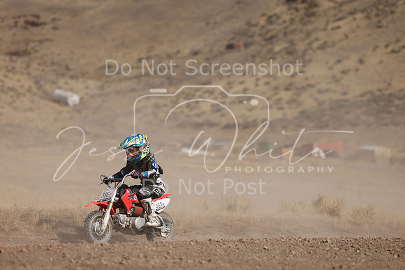 IMG_4818-385f
