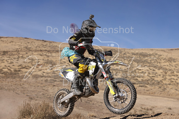 IMG_5312-99j