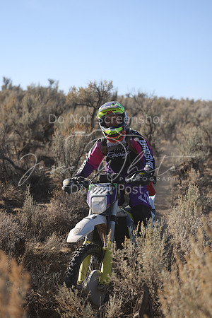 IMG_7018-222w