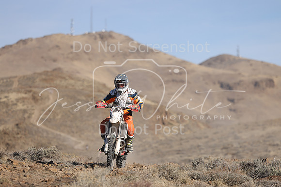 IMG_7106-246n