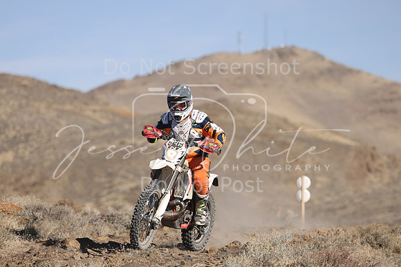 IMG_7108-246n