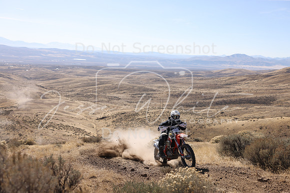 IMG_7374-99a
