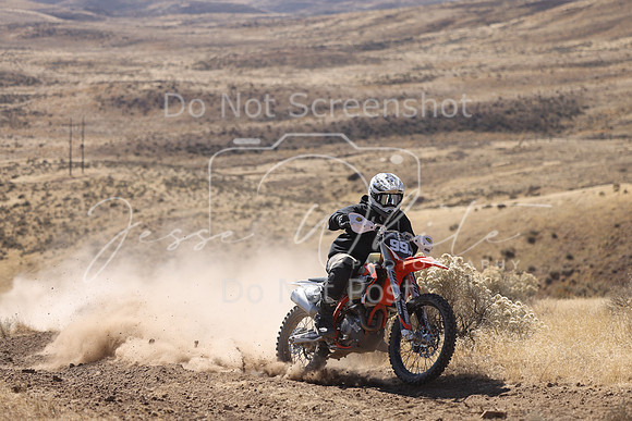 IMG_7520-99n