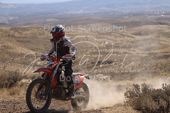 IMG_7590-41w