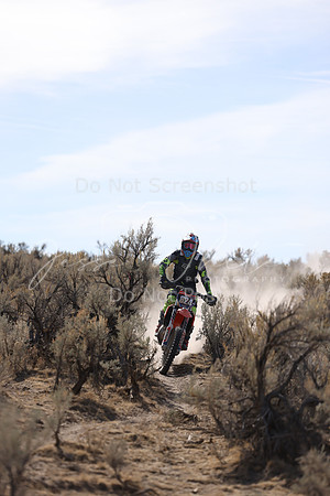 IMG_7664-824a