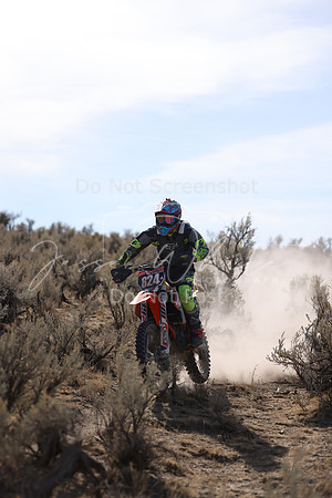 IMG_7668-824a