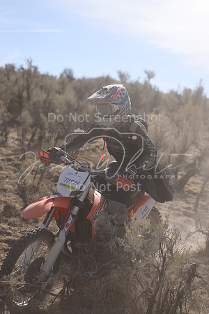 IMG_7687-775n