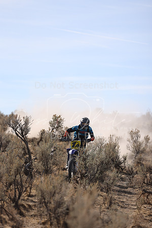 IMG_7711-1a