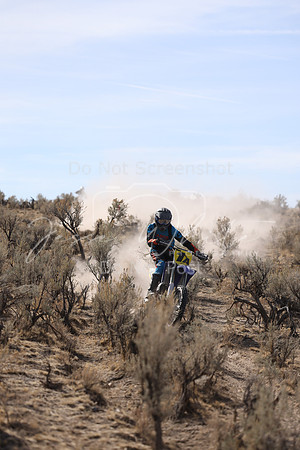 IMG_7712-1a