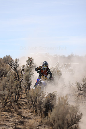 IMG_7751-17a