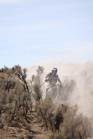 IMG_7779-7t