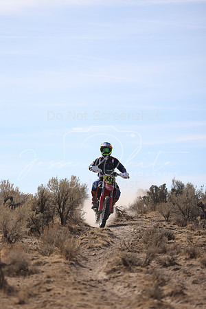 IMG_7831-441c