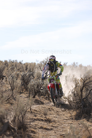 IMG_7844-12c