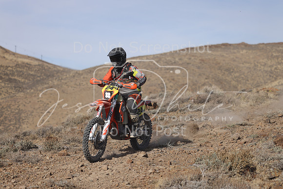 IMG_7952-24n