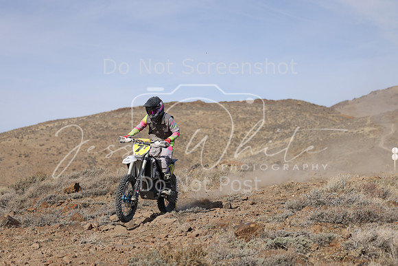 IMG_7997-7t