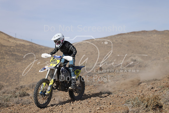 IMG_8007-66a