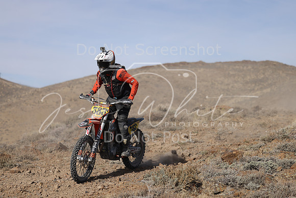 IMG_8013-383n
