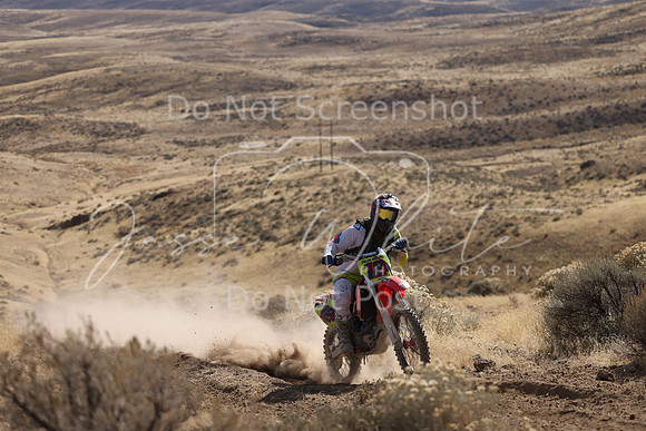 IMG_8080-12c