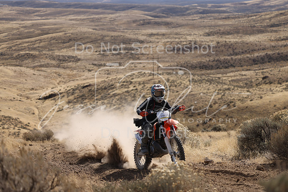 IMG_8092-775n