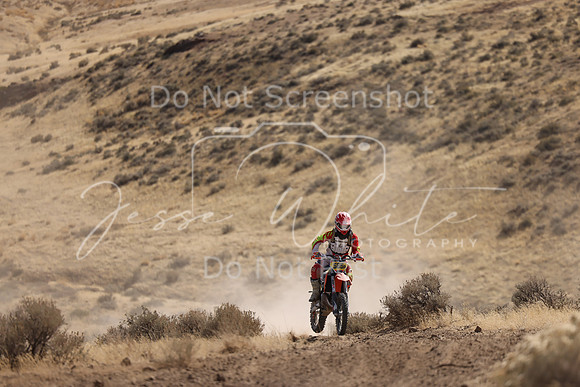 IMG_8135-565p