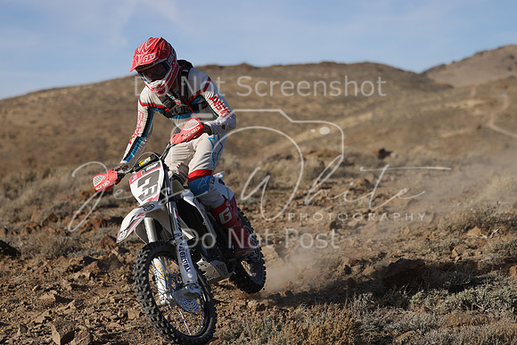 IMG_8662-3t