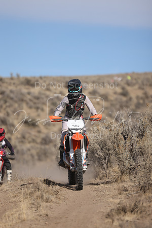 IMG_5618-511v