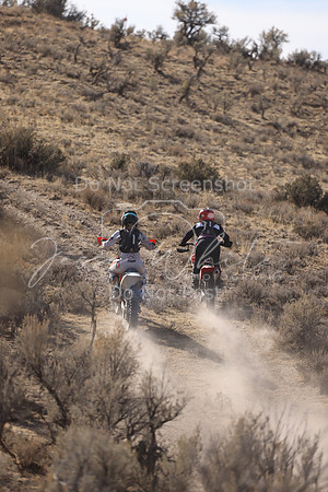IMG_5628-775v