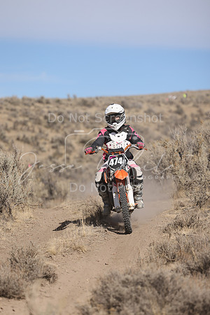 IMG_5642-474v