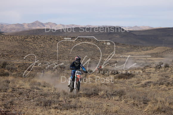 IMG_5686-812v