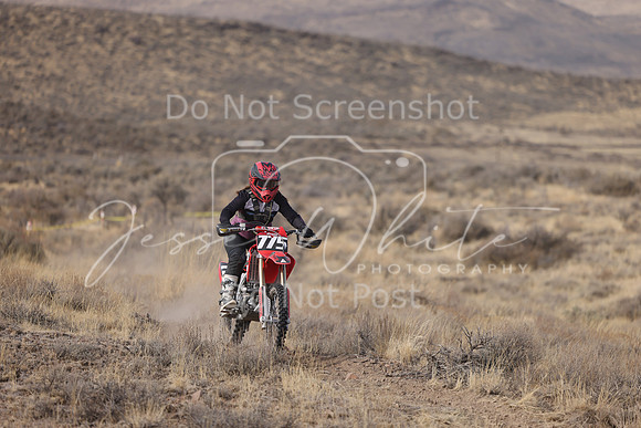 IMG_5793-775v