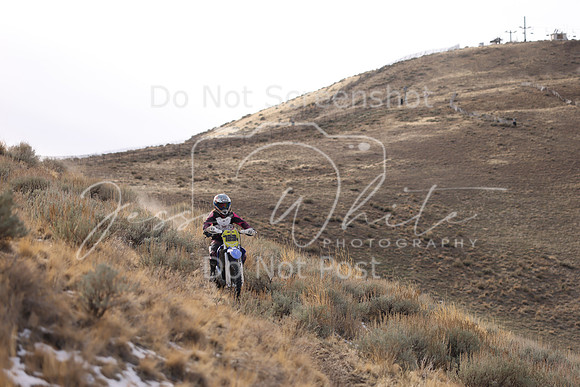 IMG_5953-723v