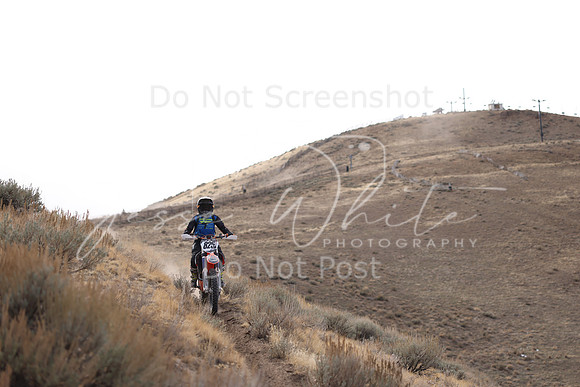 IMG_5994-825v